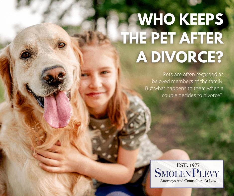 who keeps the dog in a divorce