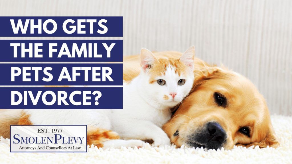 Who gets the family pets after divorce?